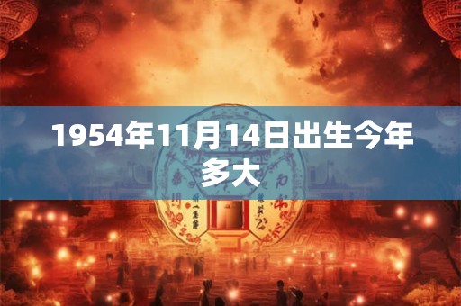 1954年11月14日出生今年多大