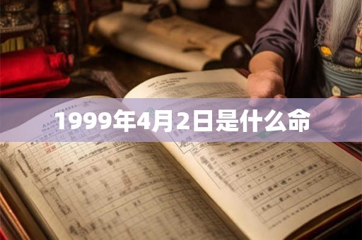 1999年4月2日是什么命