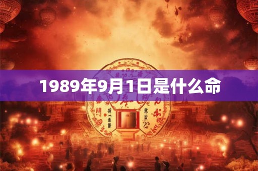 1989年9月1日是什么命