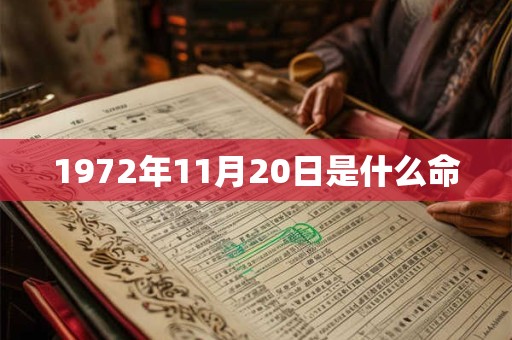1972年11月20日是什么命