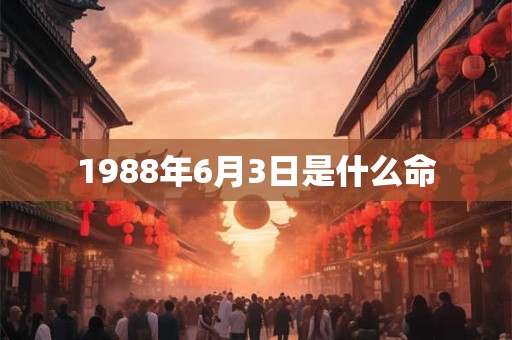 1988年6月3日是什么命