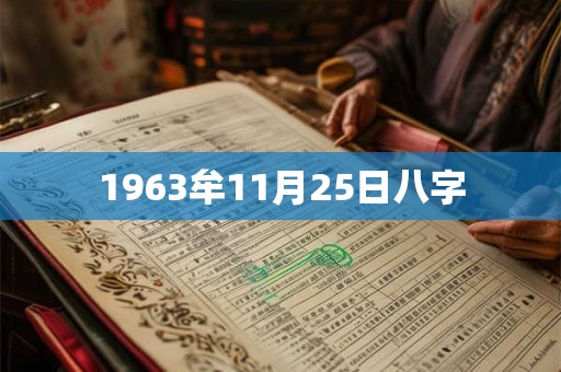 1963牟11月25日八字