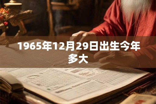 1965年12月29日出生今年多大
