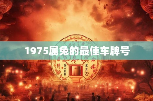 1975属兔的最佳车牌号