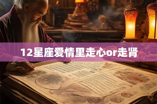 12星座爱情里走心or走肾