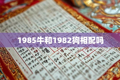 1985牛和1982狗相配吗