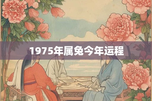 1975年属兔今年运程