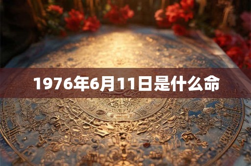 1976年6月11日是什么命