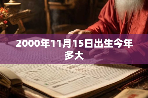 2000年11月15日出生今年多大