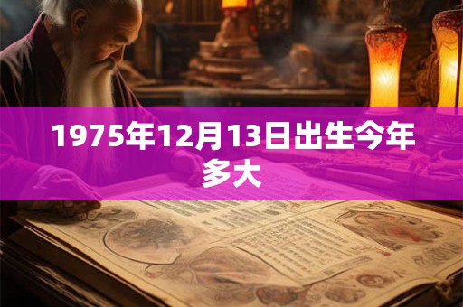 1975年12月13日出生今年多大