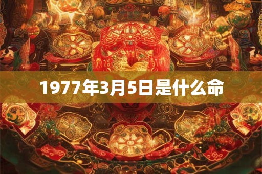 1977年3月5日是什么命
