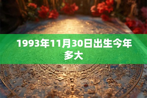 1993年11月30日出生今年多大