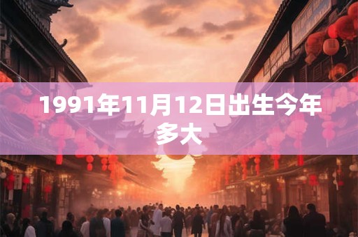 1991年11月12日出生今年多大