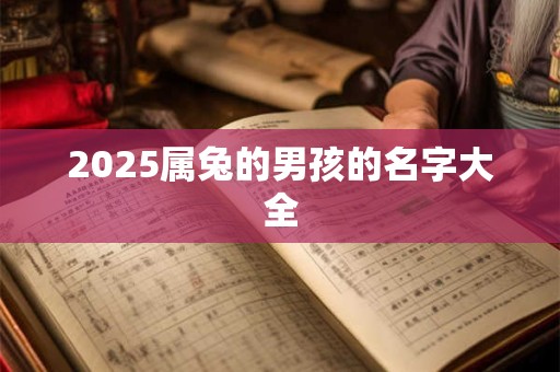 2025属兔的男孩的名字大全