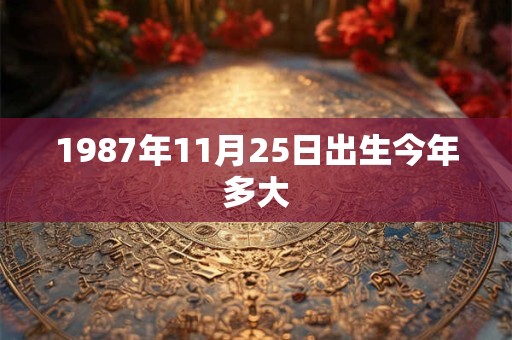 1987年11月25日出生今年多大