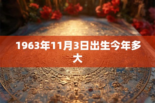 1963年11月3日出生今年多大