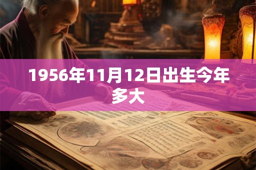 1956年11月12日出生今年多大