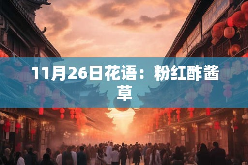 11月26日花语：粉红酢酱草