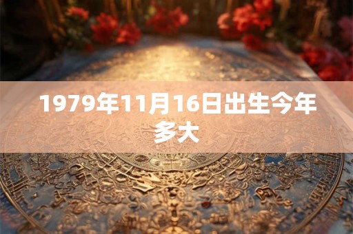 1979年11月16日出生今年多大