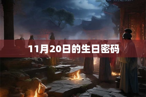 11月20日的生日密码