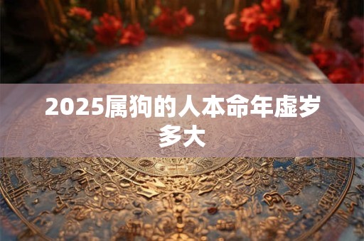 2025属狗的人本命年虚岁多大