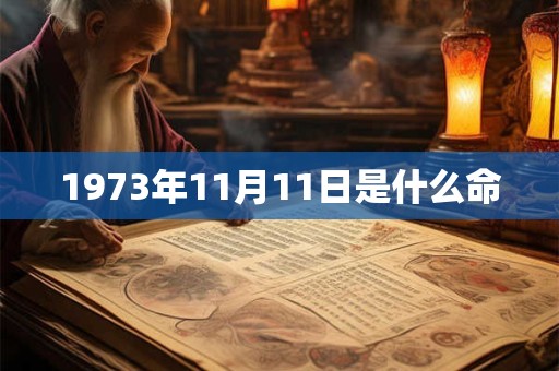 1973年11月11日是什么命