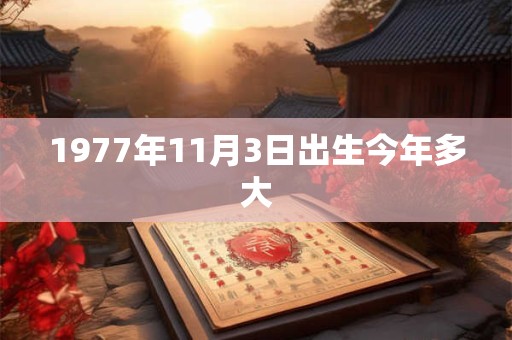1977年11月3日出生今年多大