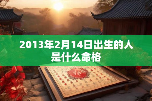 2013年2月14日出生的人是什么命格