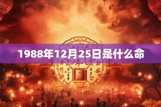 1988年12月25日是什么命