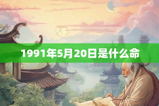 1991年5月20日是什么命