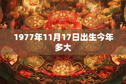 1977年11月17日出生今年多大