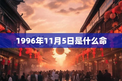 1996年11月5日是什么命