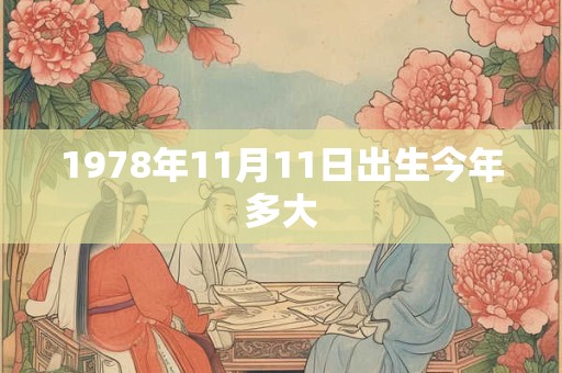 1978年11月11日出生今年多大