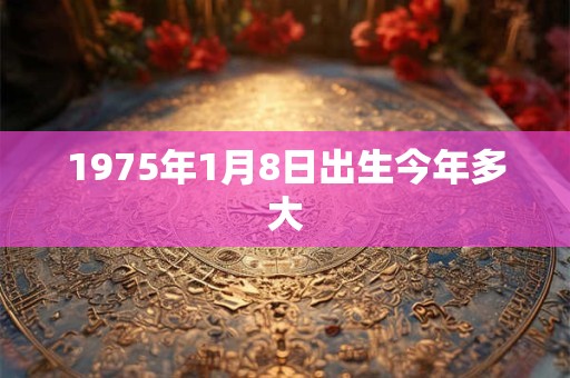 1975年1月8日出生今年多大