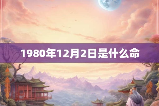 1980年12月2日是什么命