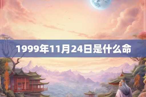1999年11月24日是什么命