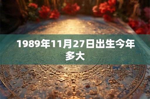 1989年11月27日出生今年多大