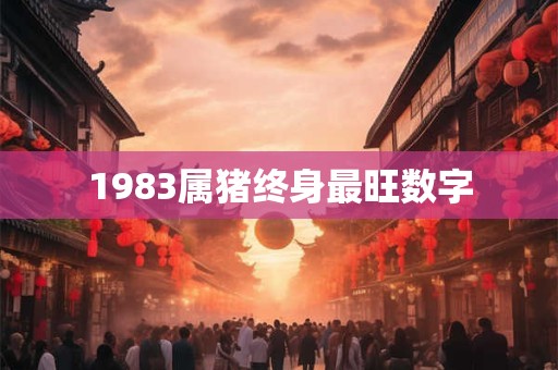 1983属猪终身最旺数字