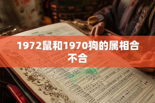 1972鼠和1970狗的属相合不合