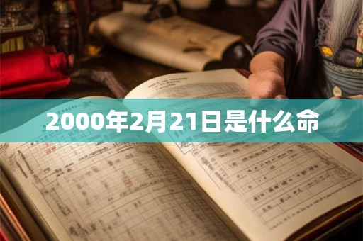 2000年2月21日是什么命