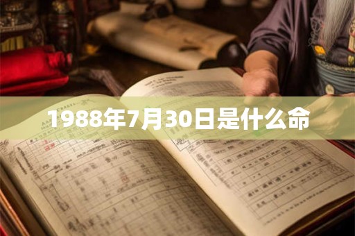 1988年7月30日是什么命