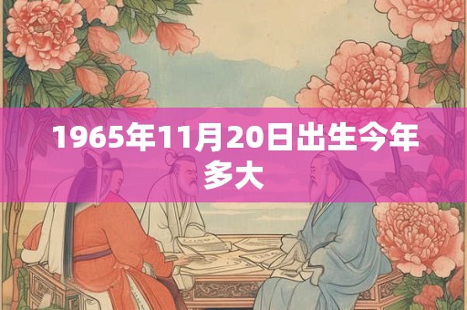 1965年11月20日出生今年多大
