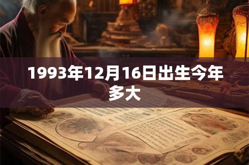 1993年12月16日出生今年多大