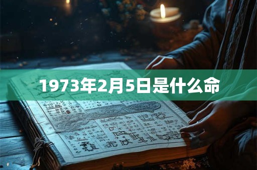 1973年2月5日是什么命