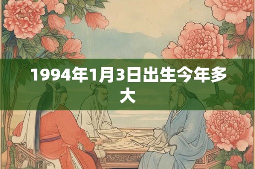 1994年1月3日出生今年多大