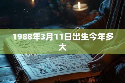 1988年3月11日出生今年多大