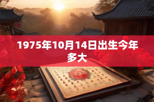 1975年10月14日出生今年多大