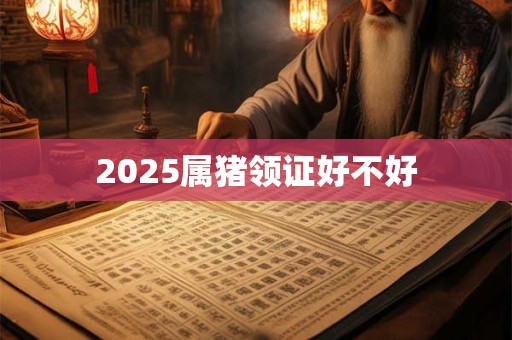 2025属猪领证好不好
