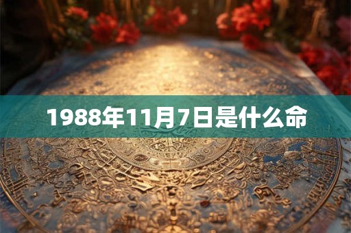 1988年11月7日是什么命