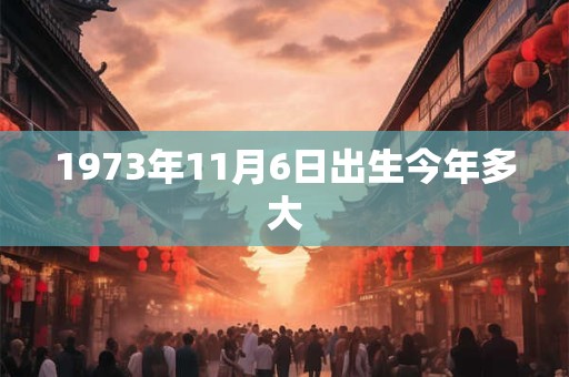 1973年11月6日出生今年多大